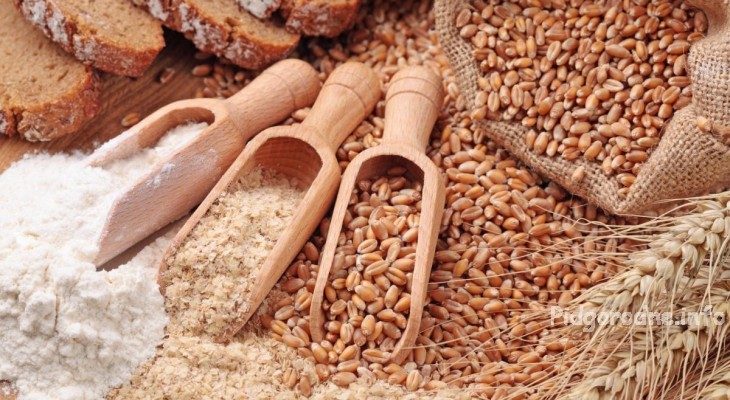 Користь і шкода круп: 7 видів каш, які варто ввести в раціон